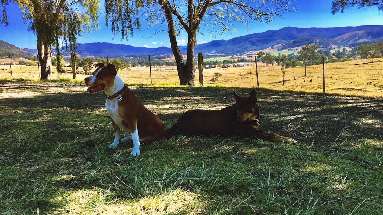 Photo of Others in Bowman Farm