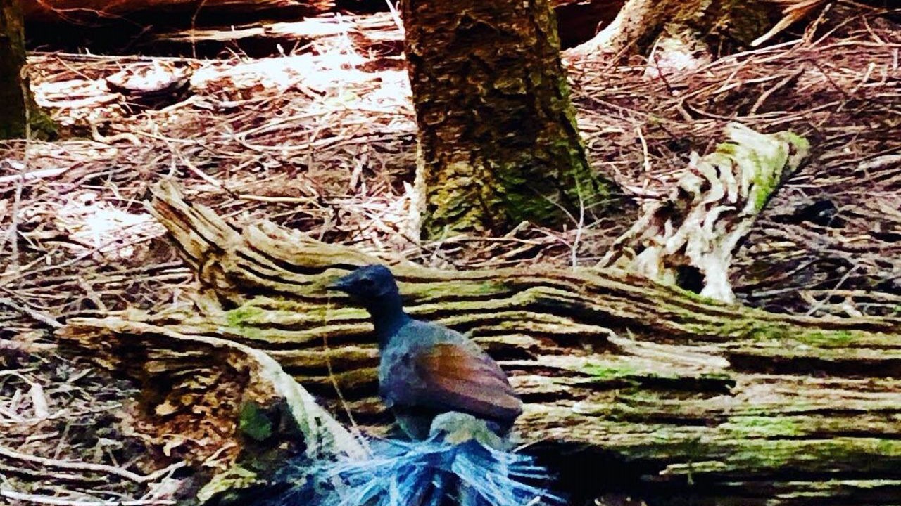 Photo of Others in Bowman Farm