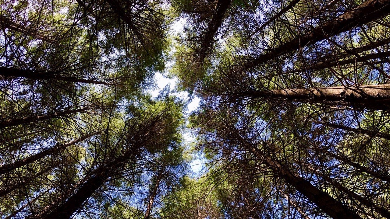 Photo of Others in Bowman Farm