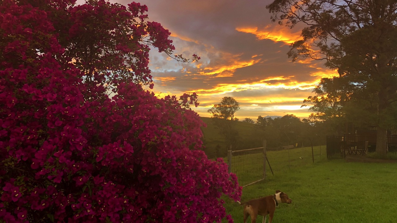 Photo of Outdoor in Bowman Farm