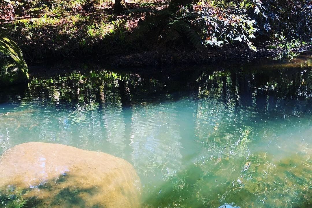 Photo of Others in Bowman Farm