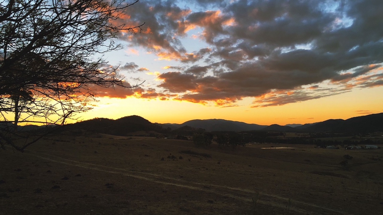 Photo of Others in Bowman Farm