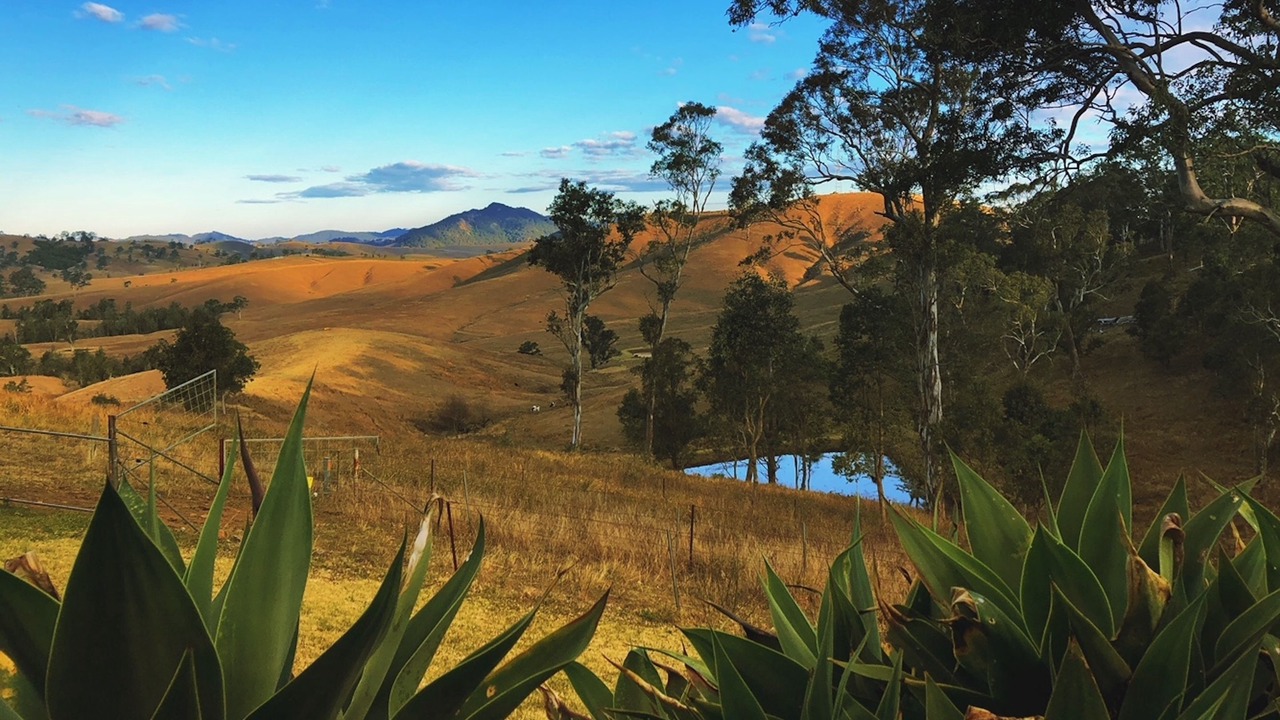 Photo of Others in Bowman Farm