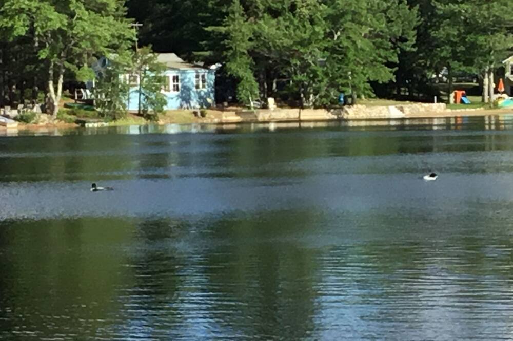 Photo of Outdoor in East Wakefield