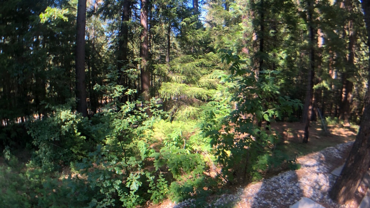 Photo of Outdoor in Dutch Flat