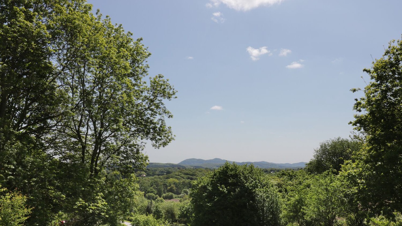 Photo of Others in Alfrick