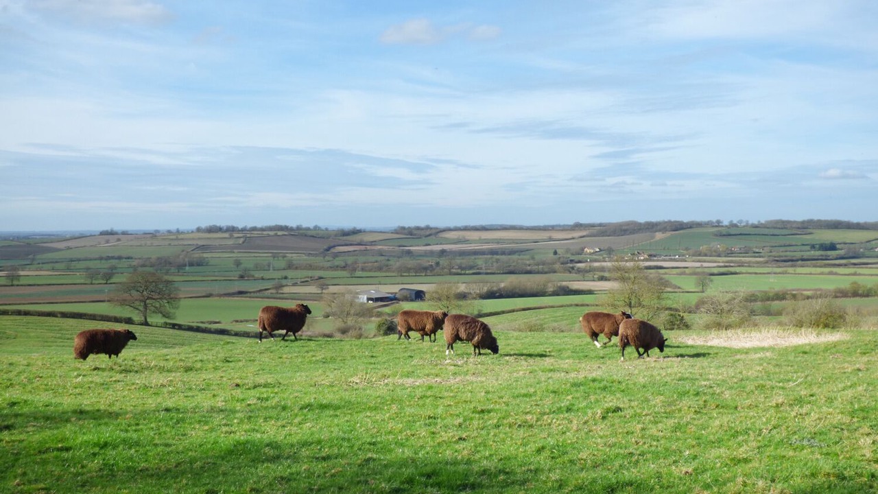 Photo of Others in Alfrick