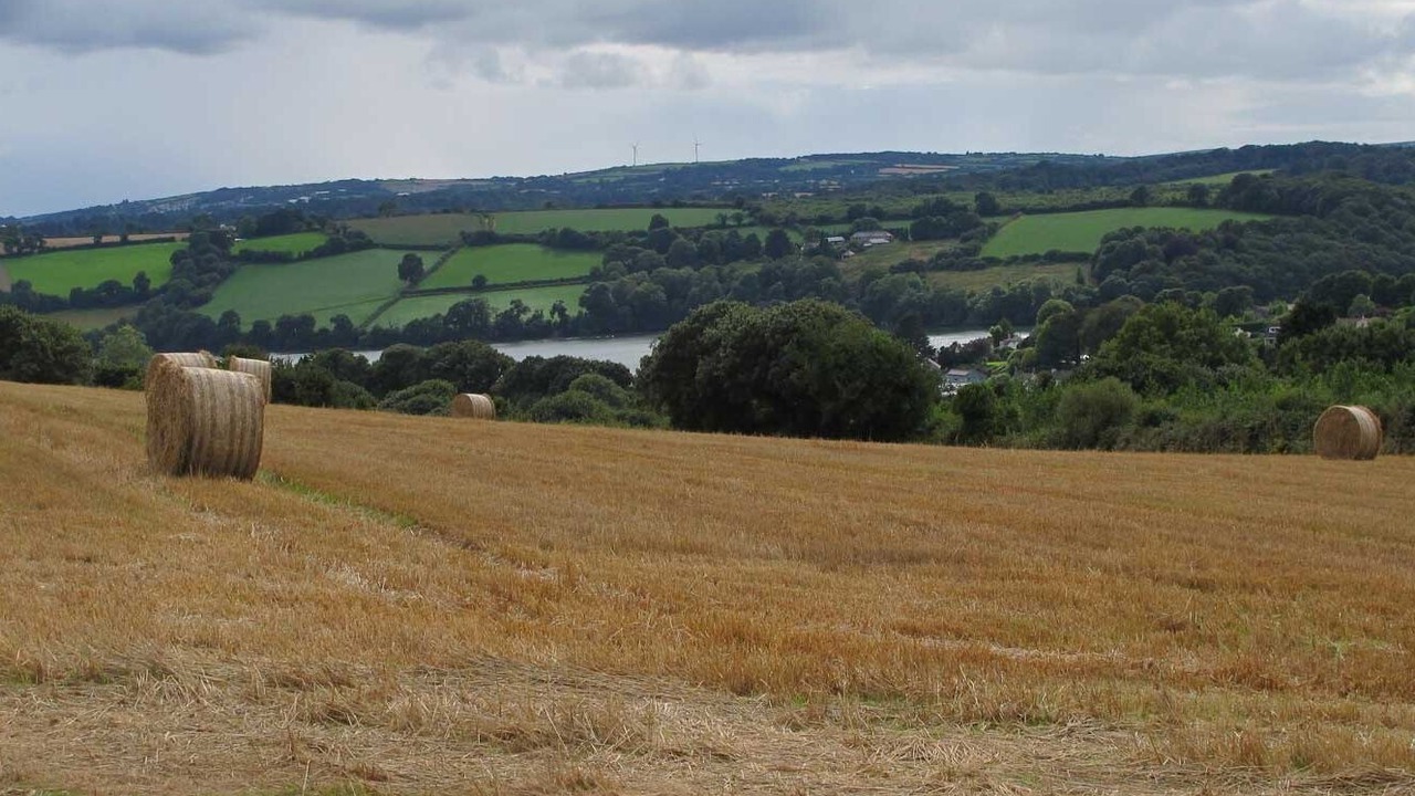 Photo of Others in Feock