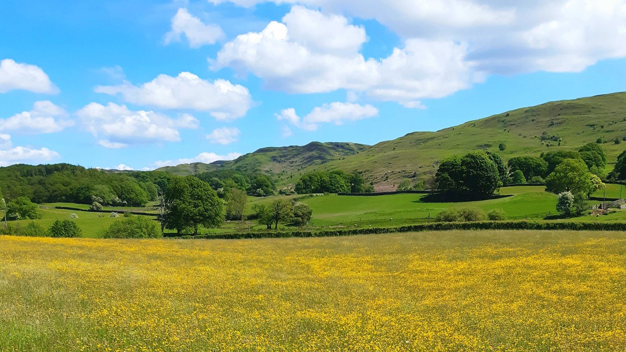 Photo of Others in Backbarrow