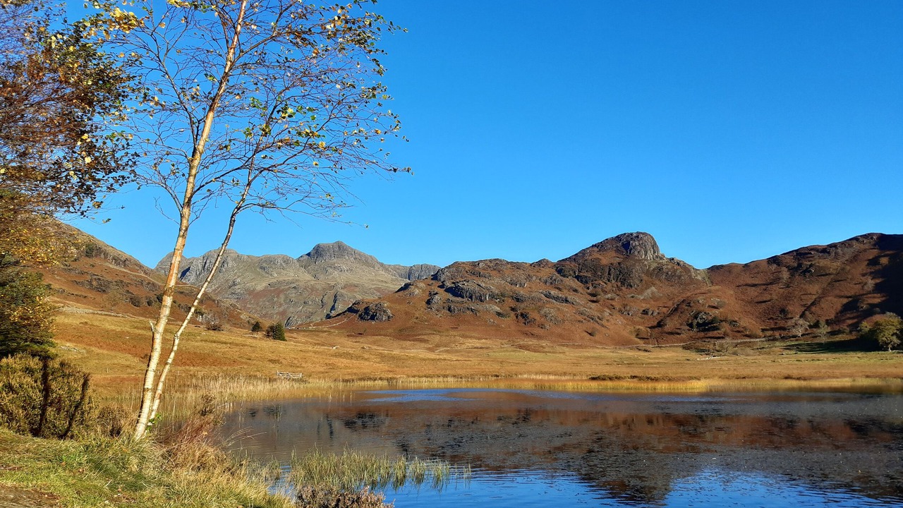 Photo of Others in Backbarrow