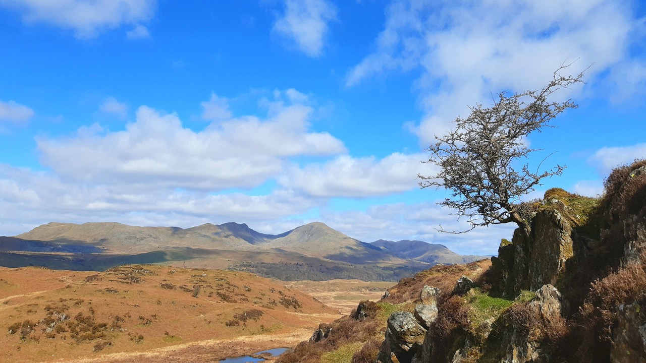 Photo of Others in Backbarrow