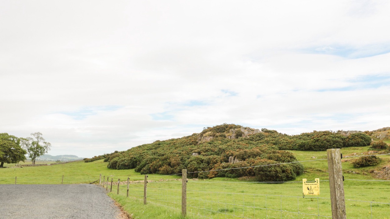 Photo of Others in Kelso