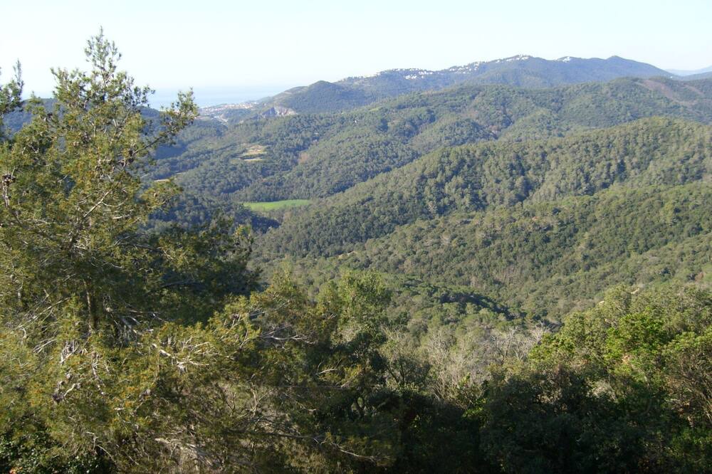 Photo of Others in Santa Susanna