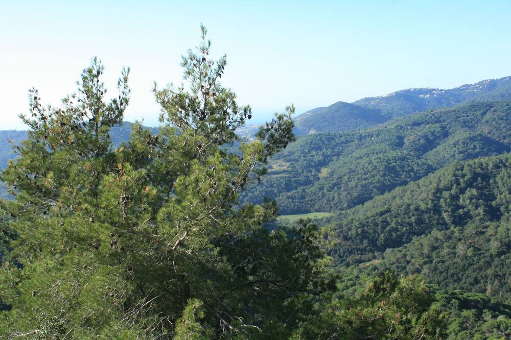 Photo of Outdoor in Santa Susanna