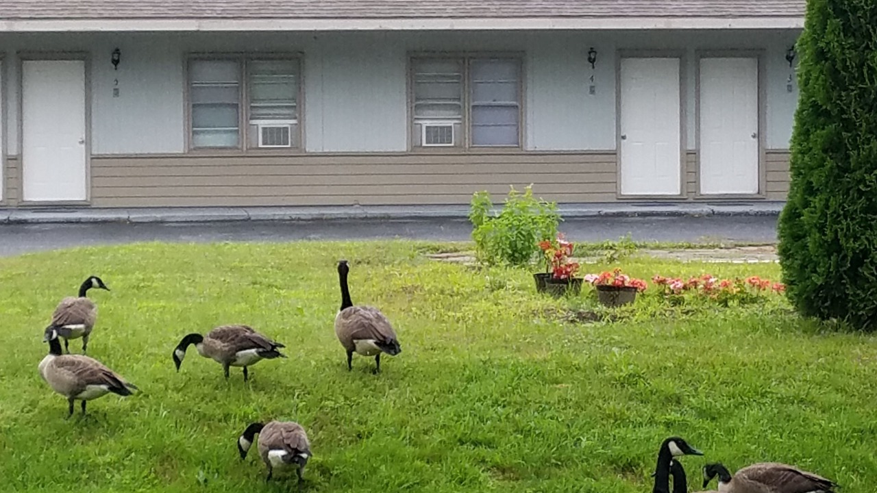 Photo of Outdoor in Becket