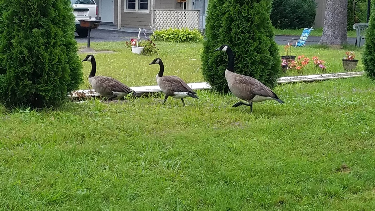 Photo of Outdoor in Becket