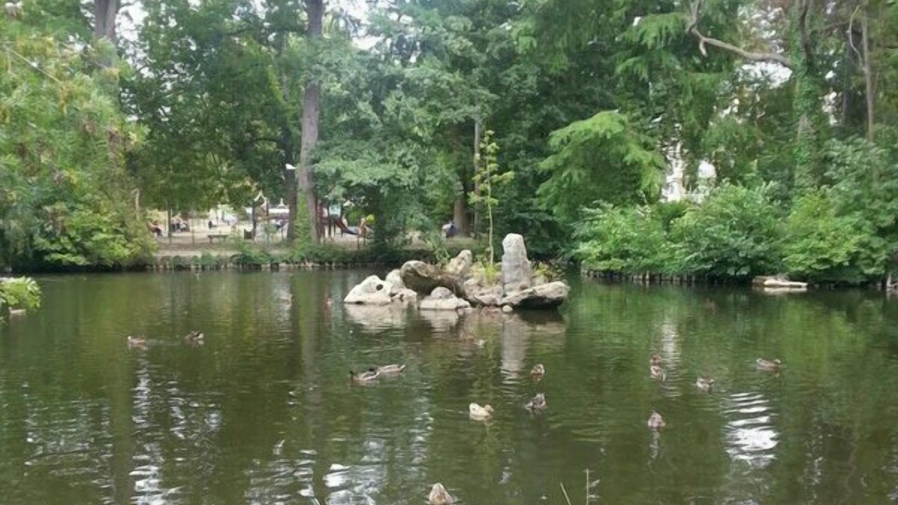 Photo of Outdoor in Libourne