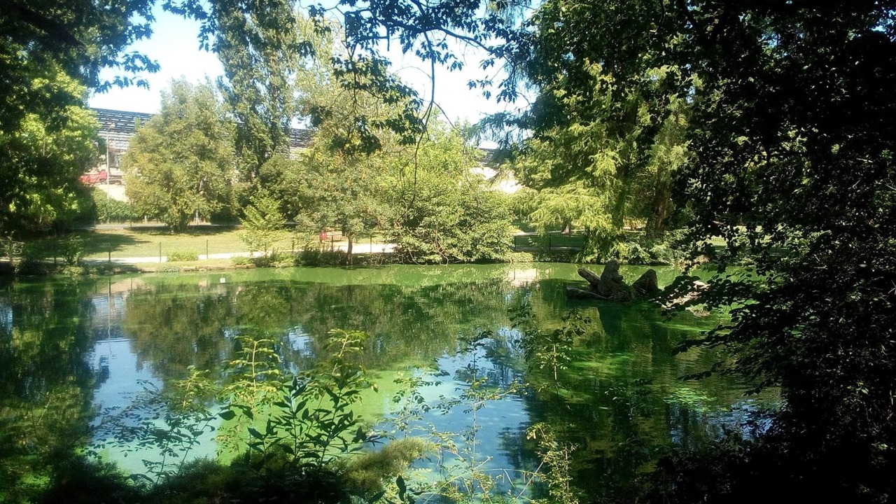 Photo of Outdoor in Libourne