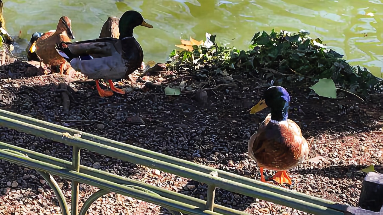Photo of Outdoor in Libourne