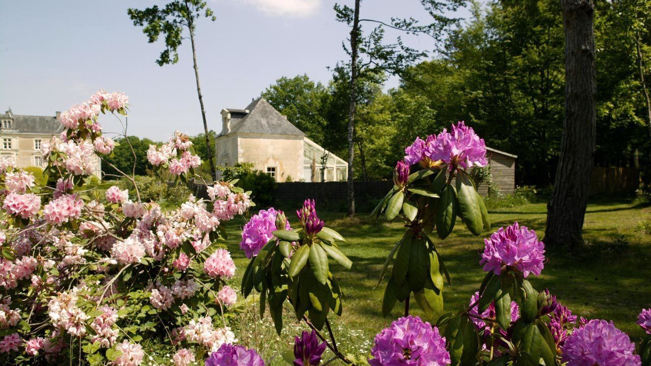 Photo of Outdoor in Durtal