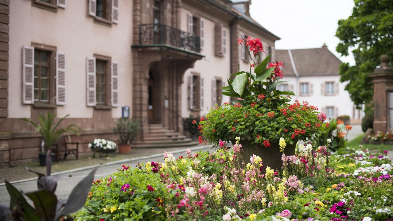 Photo of Outdoor in Oberbronn