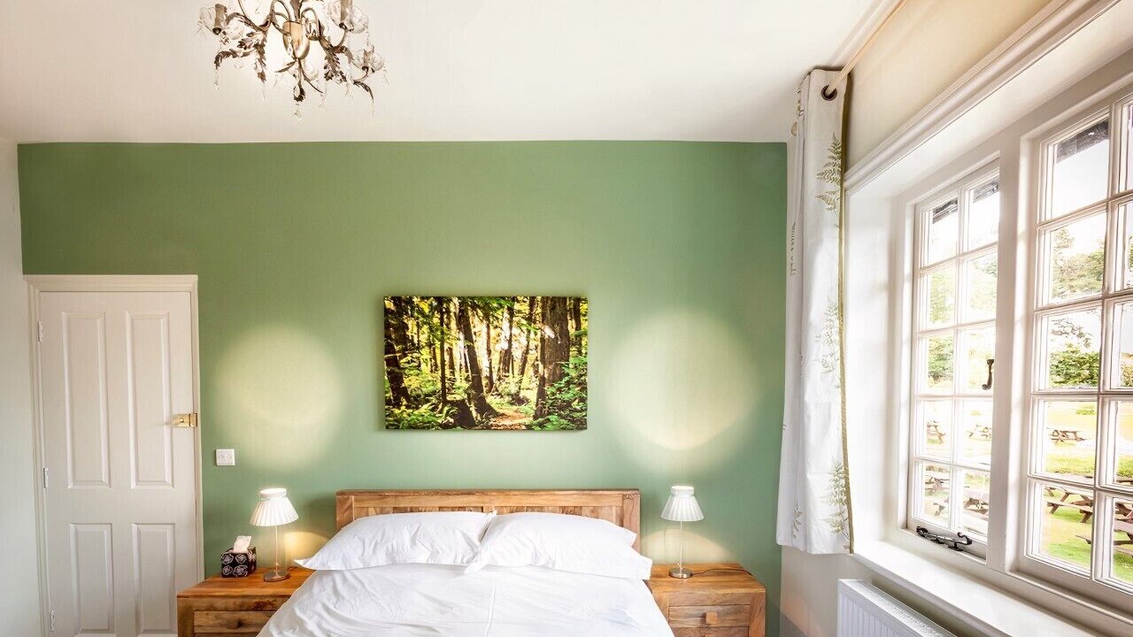 Photo of Others in New Forest District