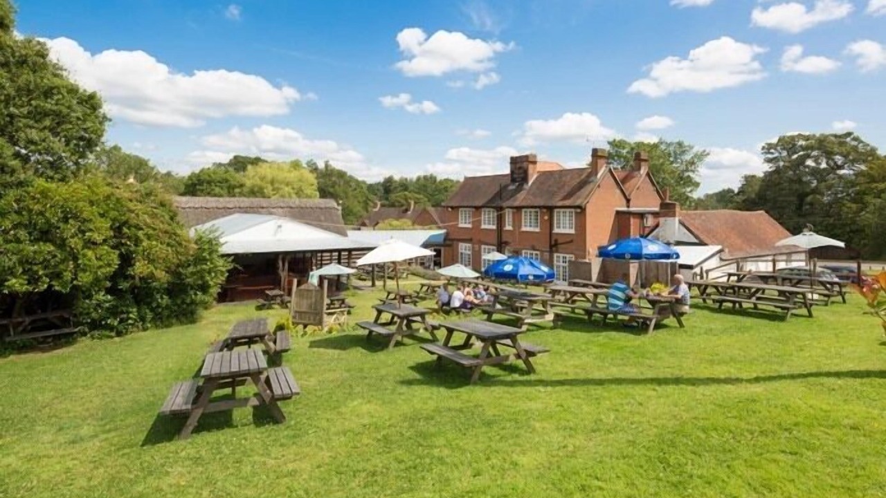 Photo of Outdoor in New Forest District