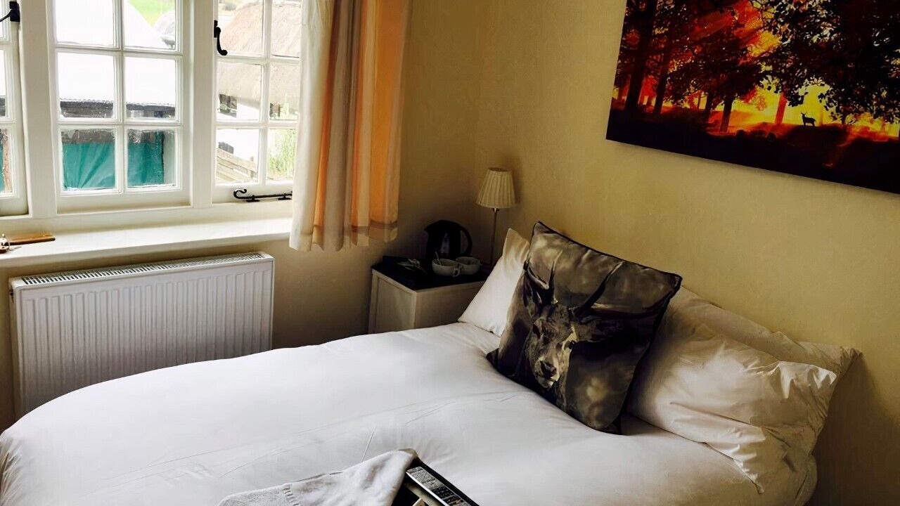 Photo of Others in New Forest District