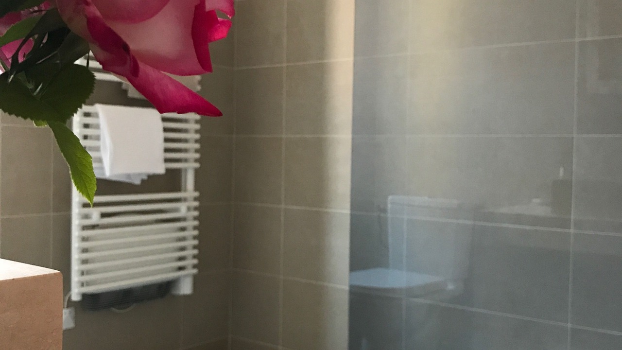 Photo of Bathroom in Vertus