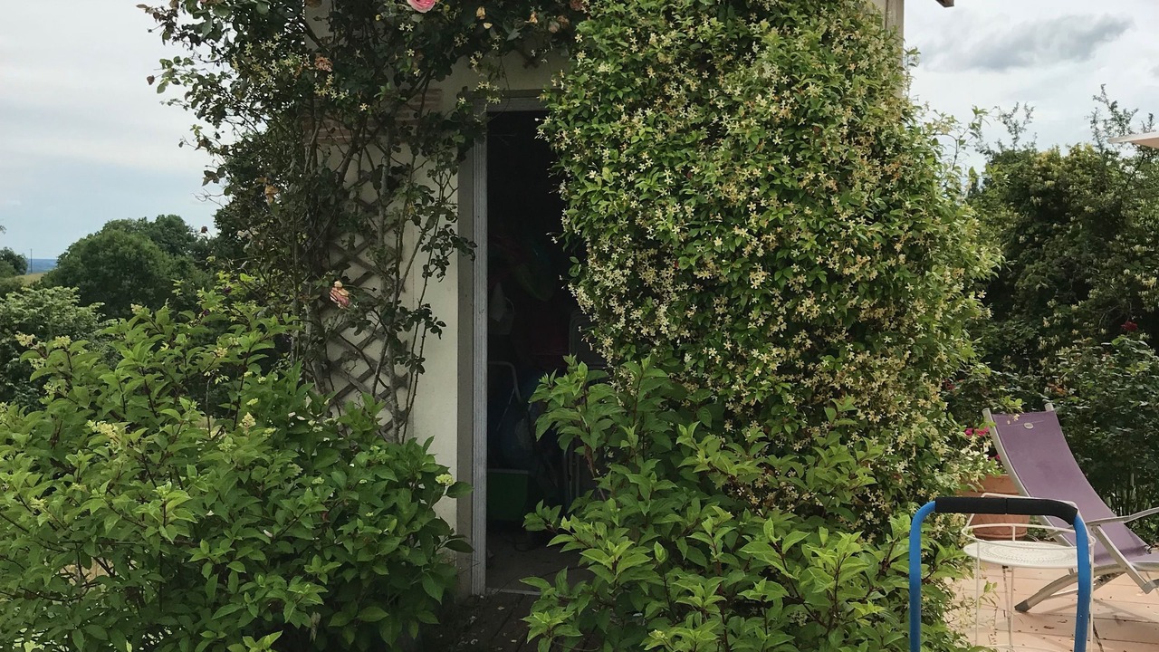 Photo of Outdoor in Saint-Raphael