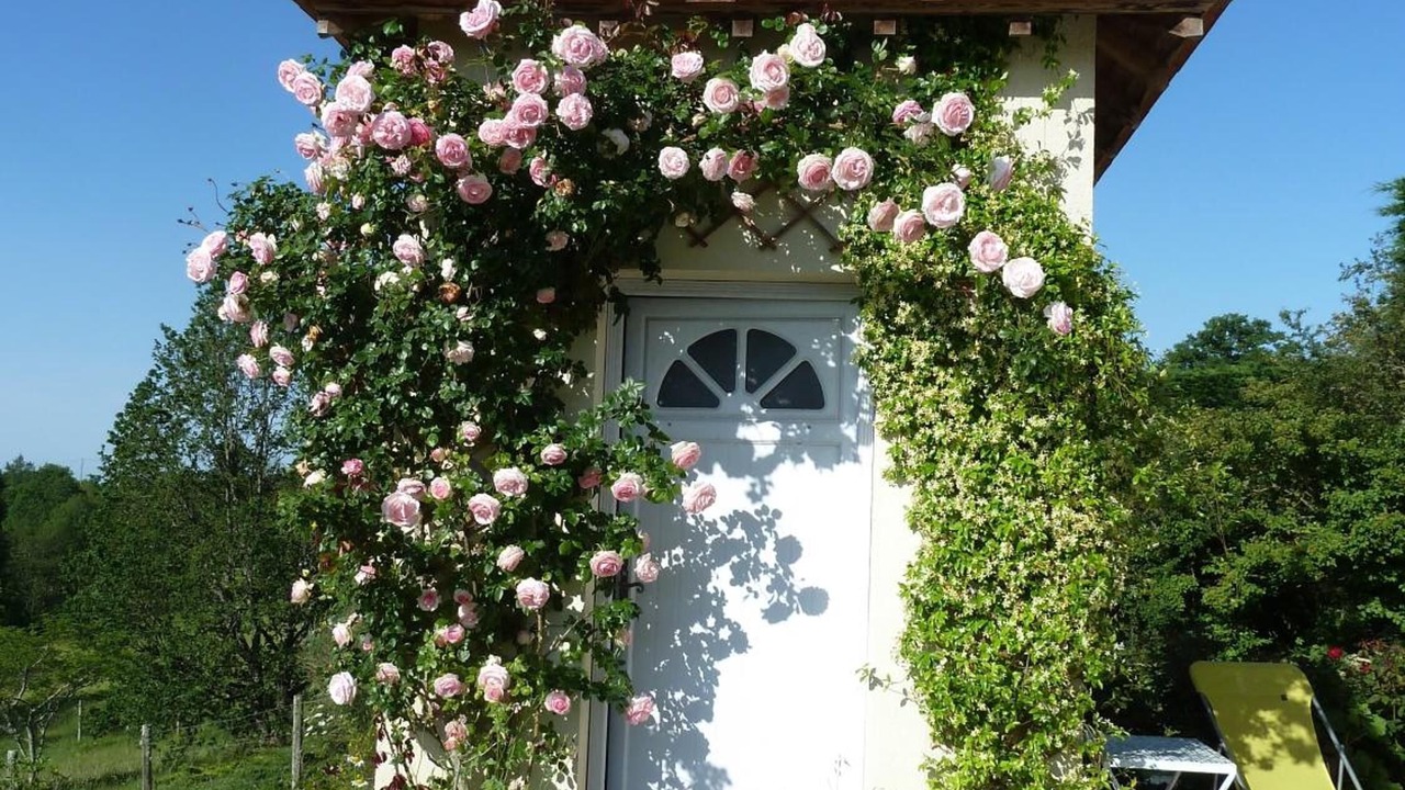 Photo of Outdoor in Saint-Raphael