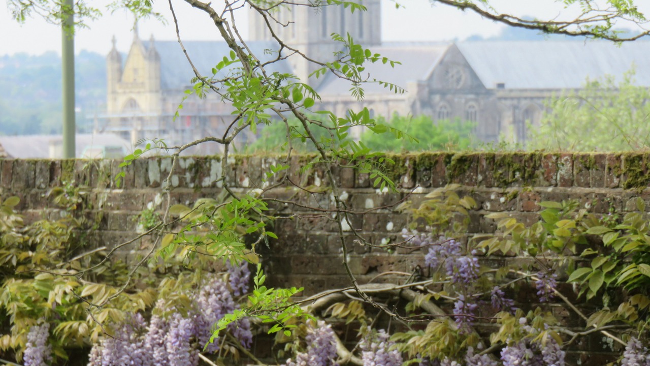 Photo of Others in Winchester