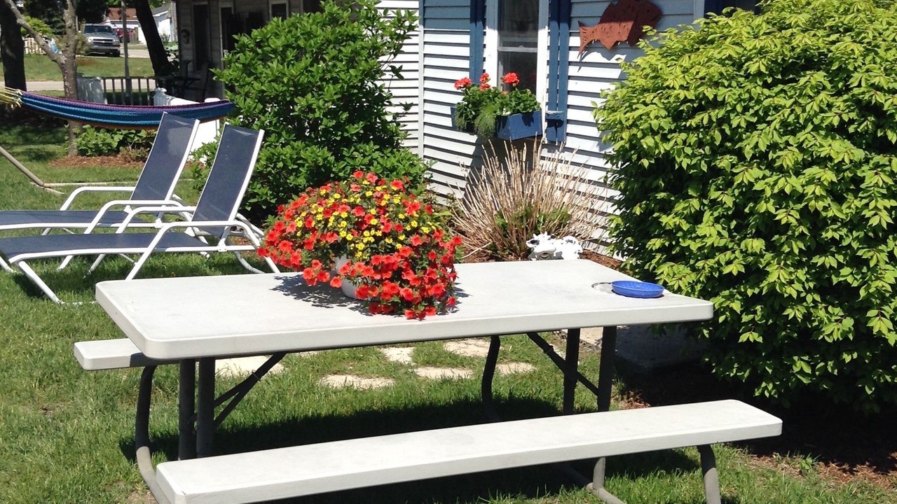 Photo of Outdoor in Frankfort
