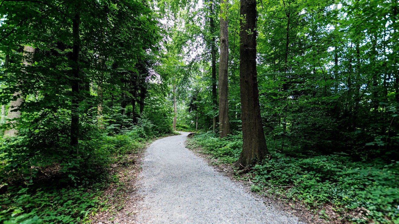 Photo of Outdoor in Wallisellen