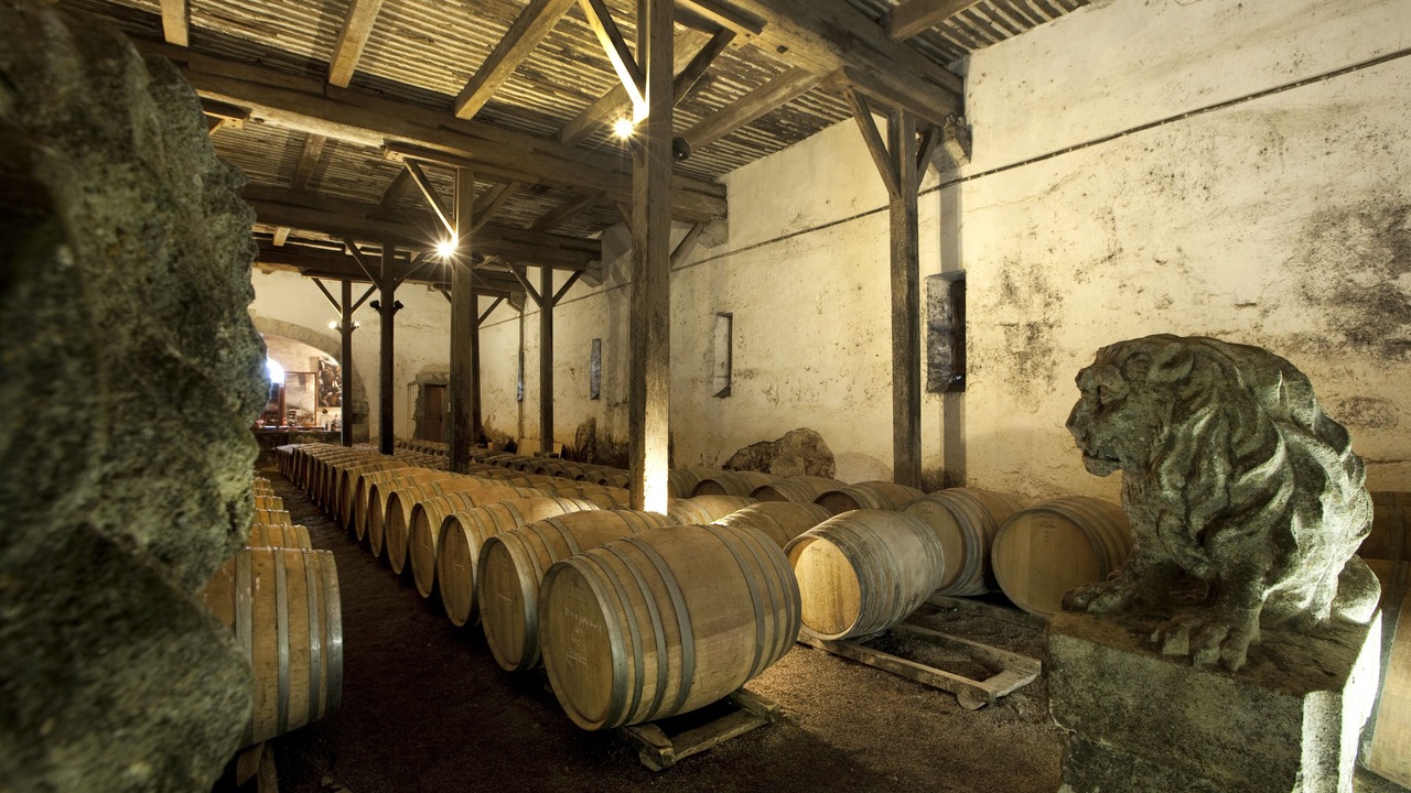 Photo of Others in Beziers