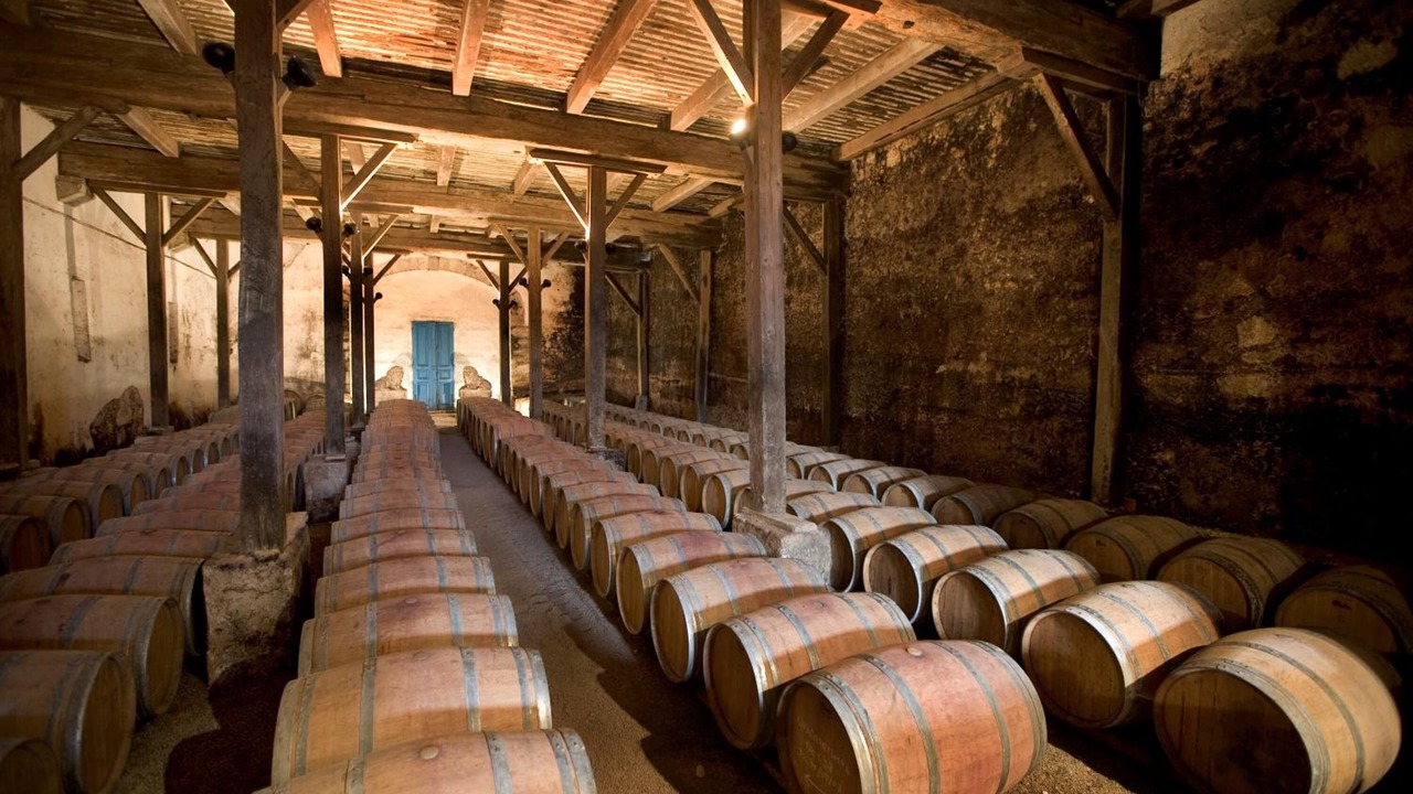 Photo of Others in Beziers