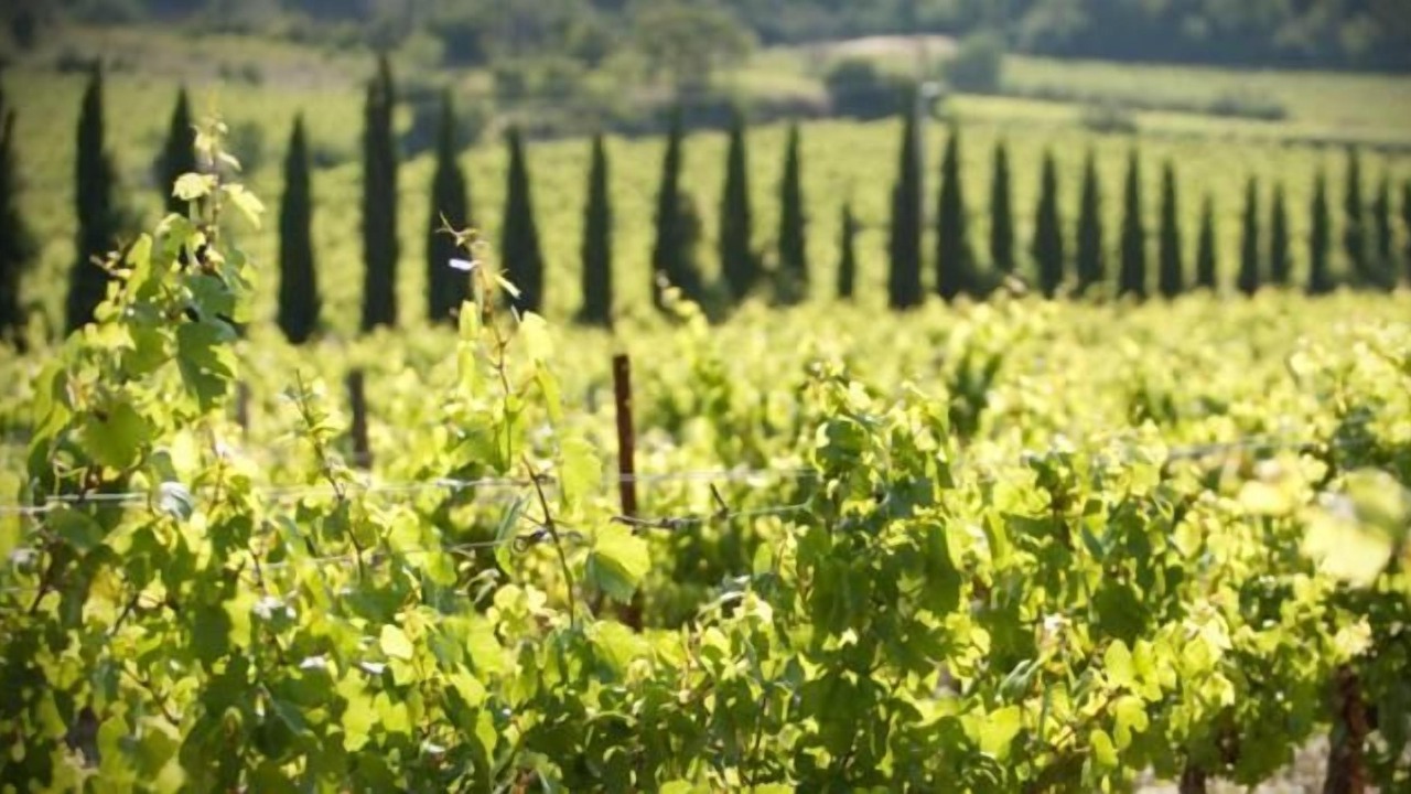 Photo of Outdoor in Beziers