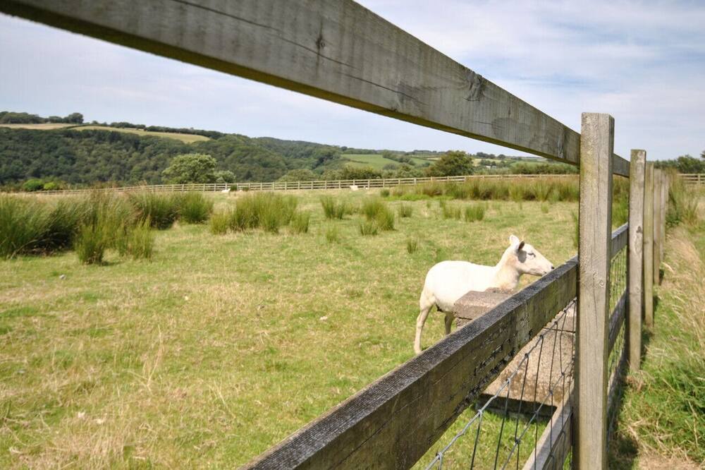 Photo of Others in Brayford