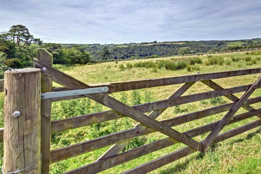 Photo of Others in Brayford