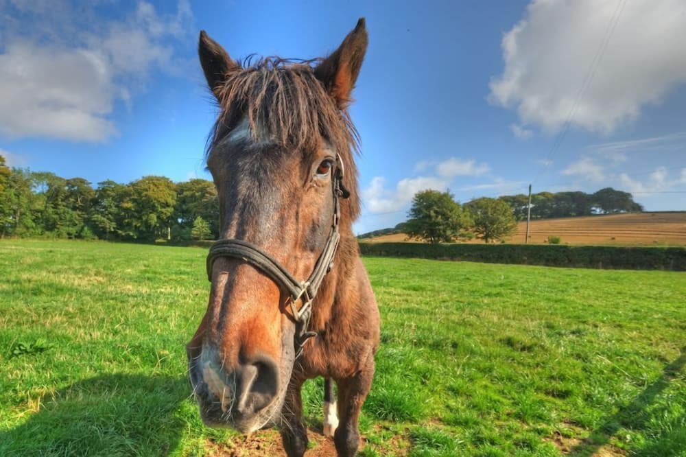 Photo of Others in Berwick-upon-Tweed