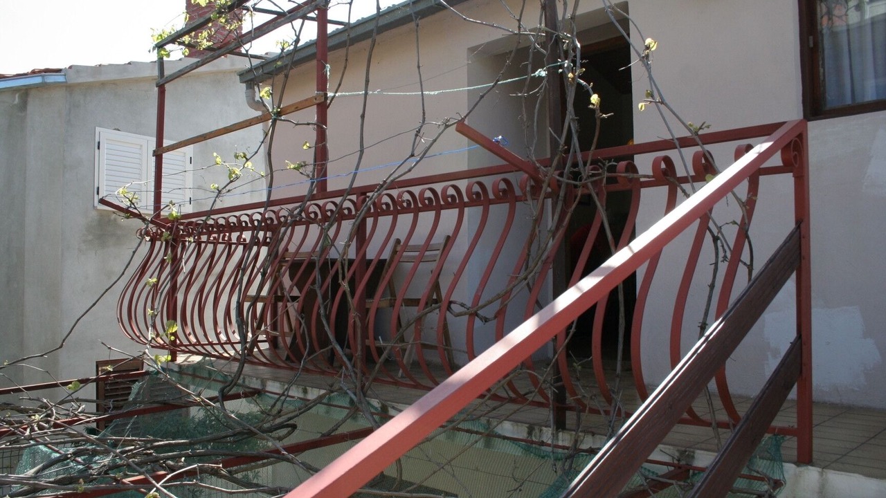 Photo of Others in Brna