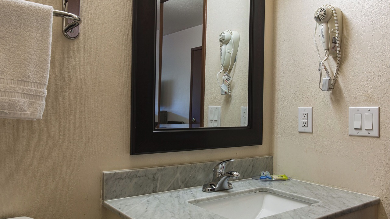 Photo of Others in Sehome