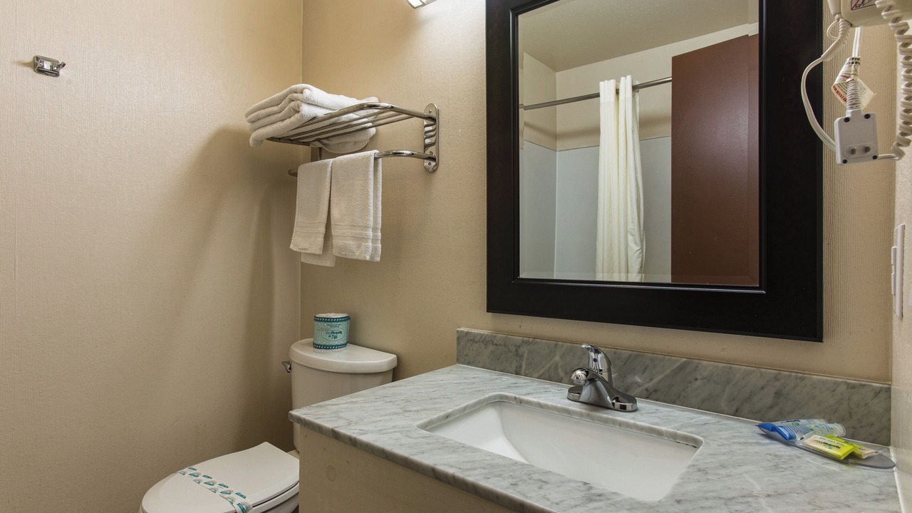 Photo of Others in Sehome