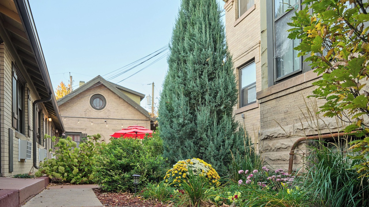 Photo of Outdoor in Sterling