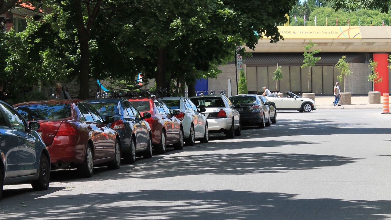 Photo of Others in Maisonneuve