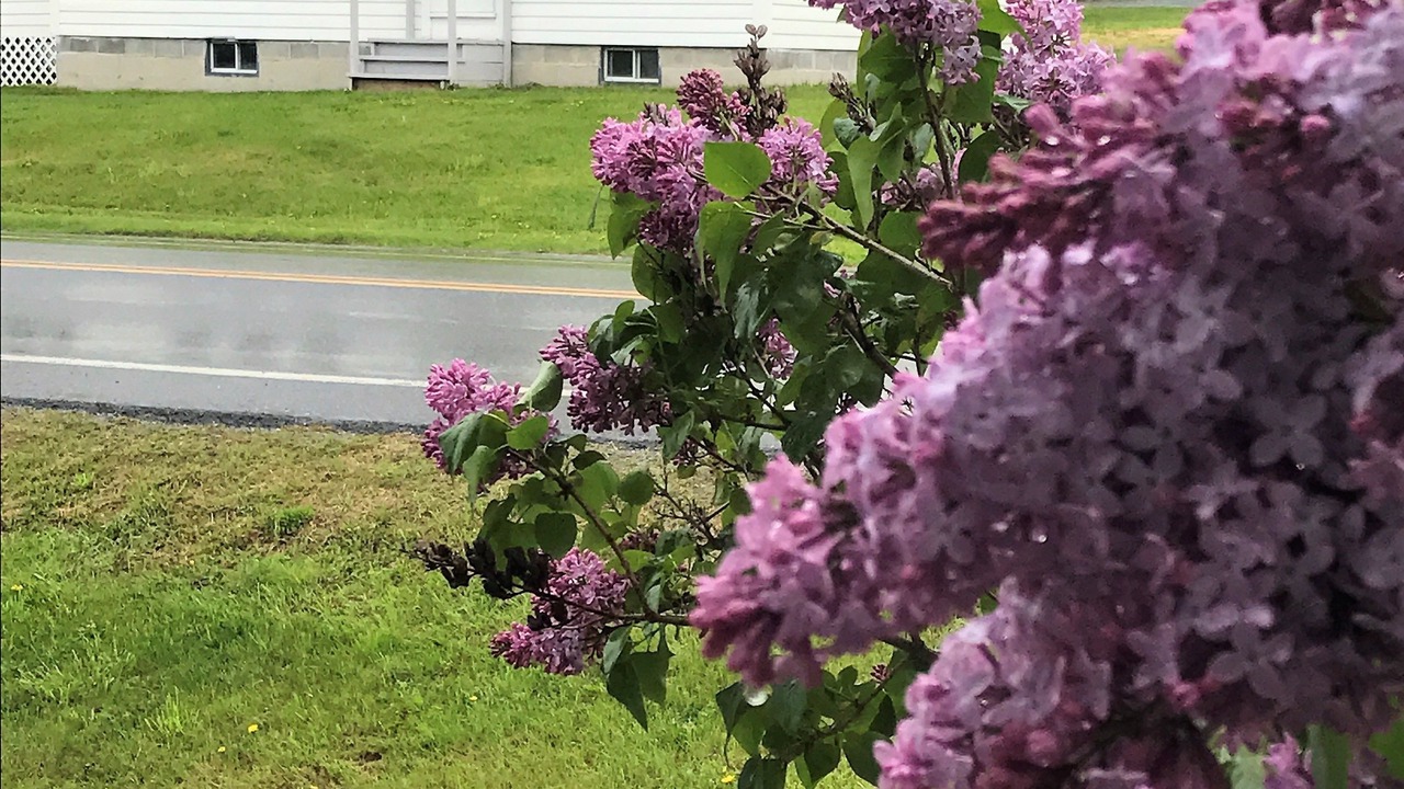 Photo of Others in Bomoseen