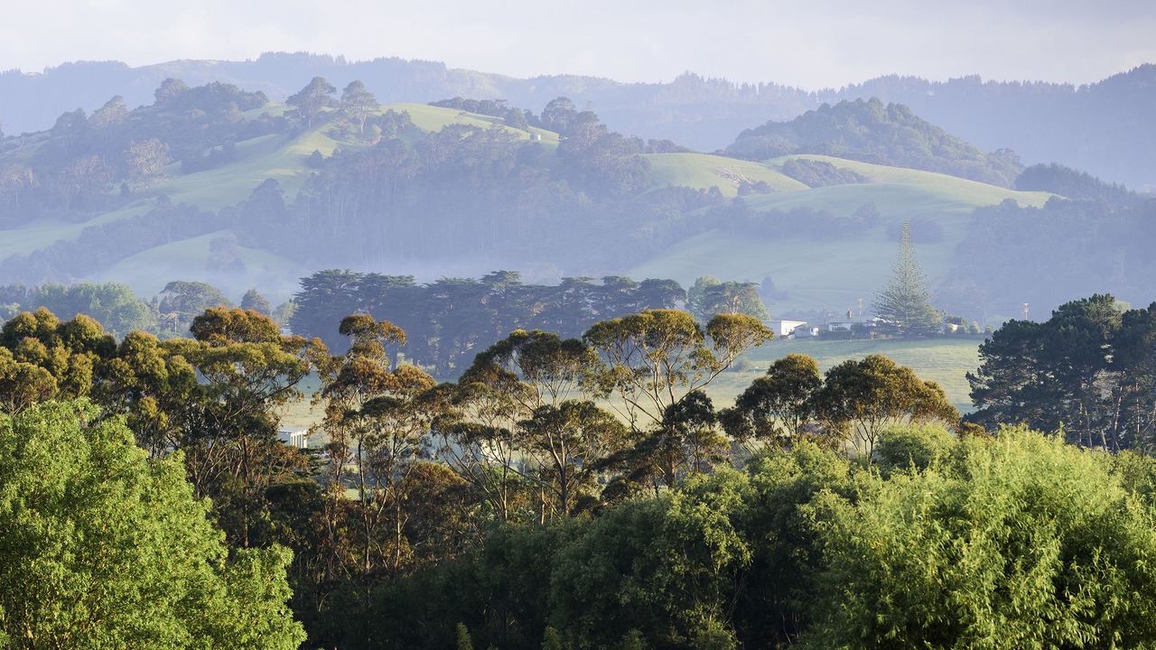 Photo of Others in Matakana