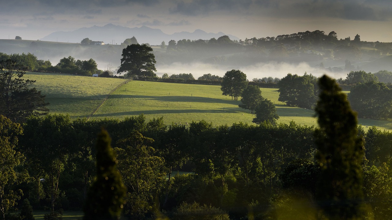 Photo of Others in Matakana