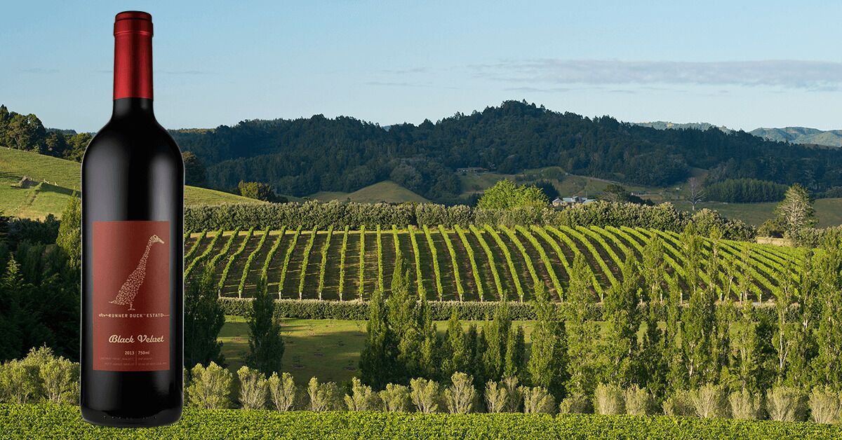 Photo of Others in Matakana