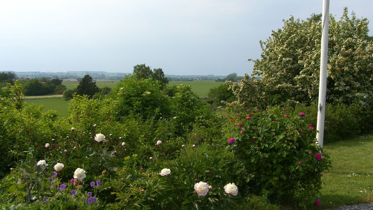 Photo of Outdoor in Borre